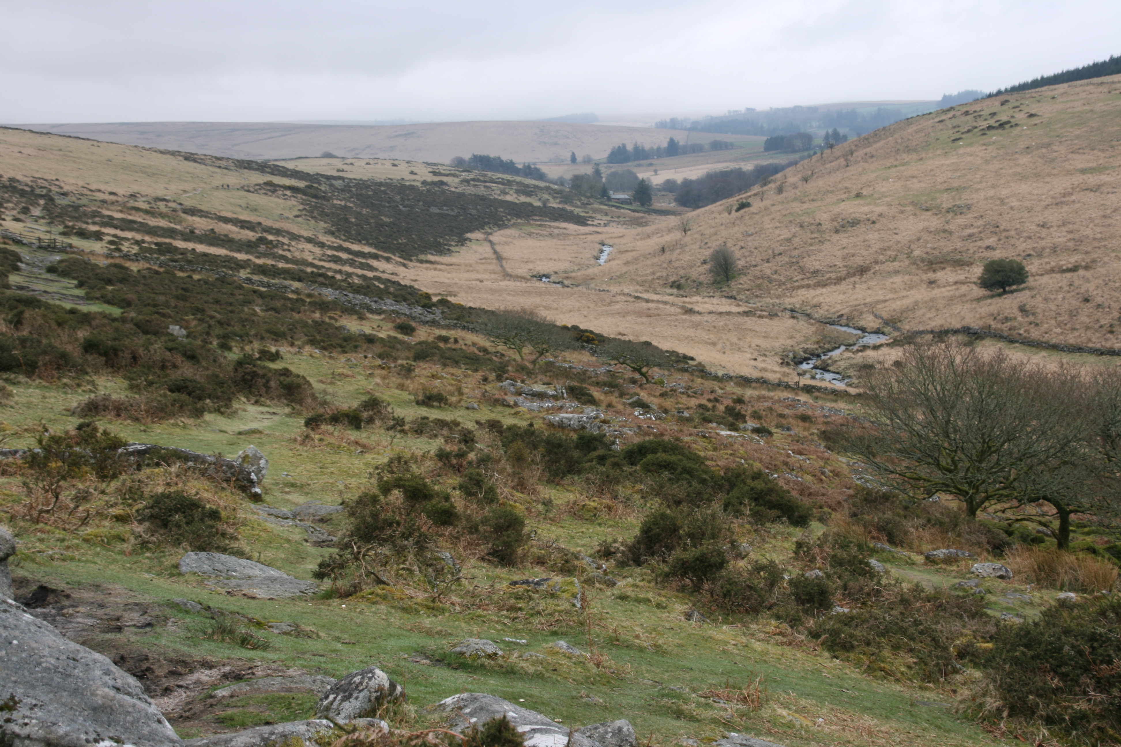 Dartmoor – a wild and windswept place