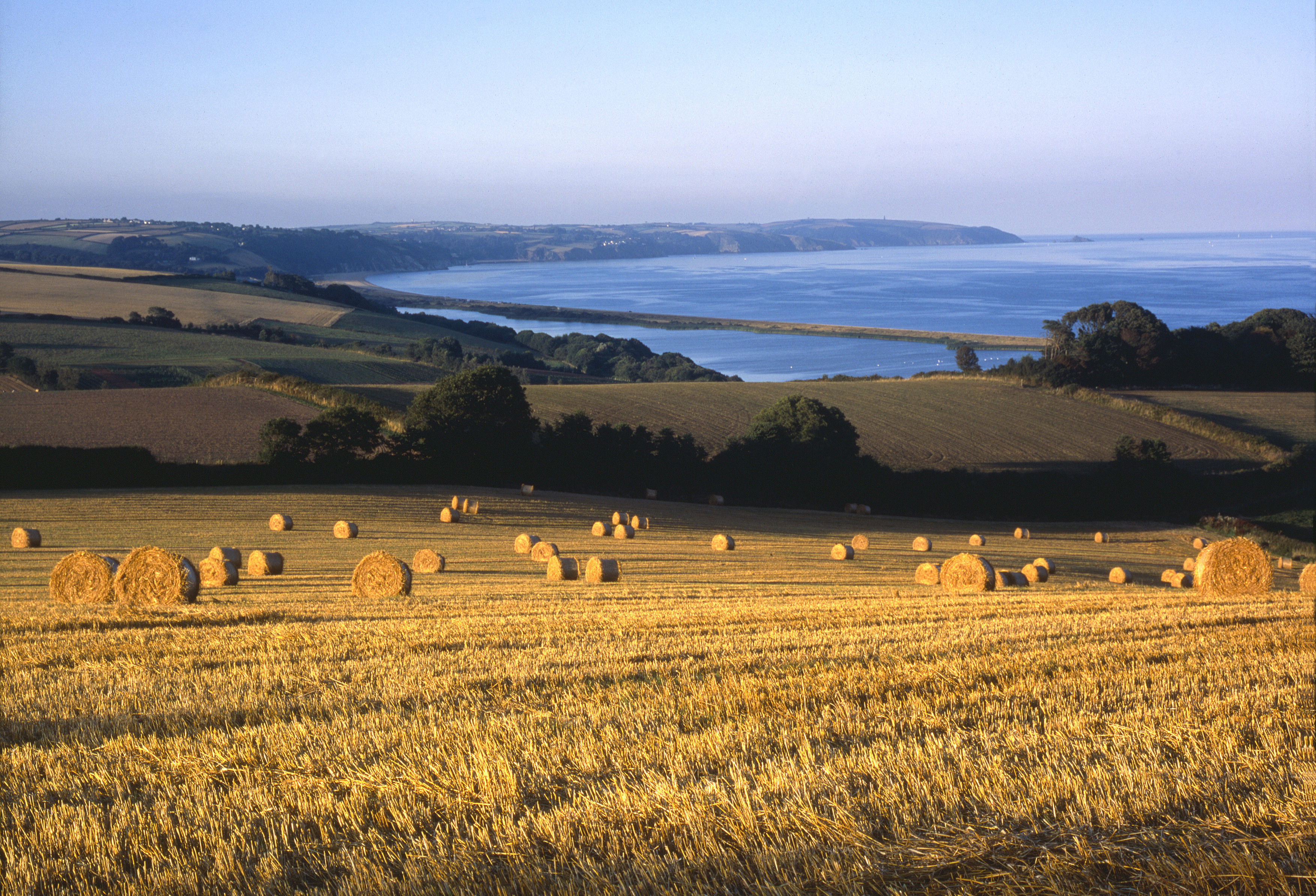 Hay bales above Start Bay